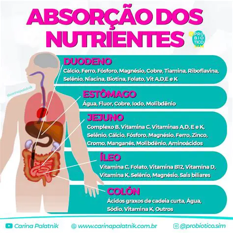 Armazenamento de nutrientes