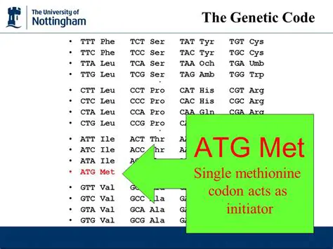 ATG CAG TTA GAA TTA GAA TTA GAA