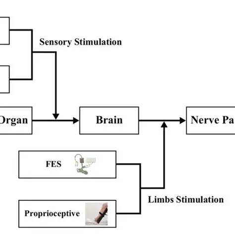 audio and visual stimulations