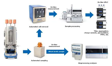 Automated Sampling and Beat Analysis