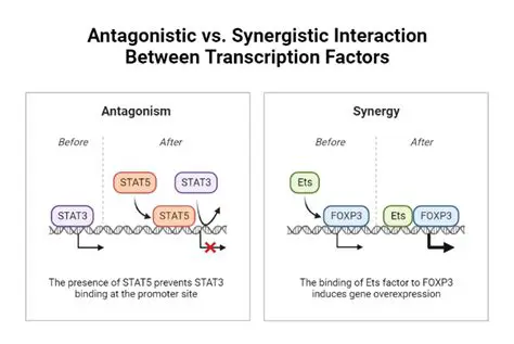 Automatic quantification of synergism and inhibition