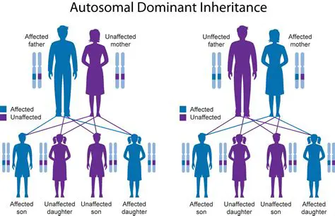 Autosomal Dominant Inheritance