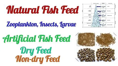 Availability of Natural Feed