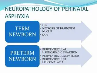 Background and Significance of Asphyxia Neonatorum