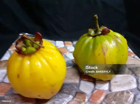 Background of Gelugur Acid