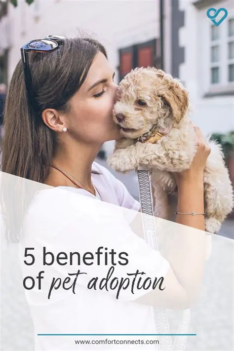 Benefits of Adopting or Fostering a Furkid