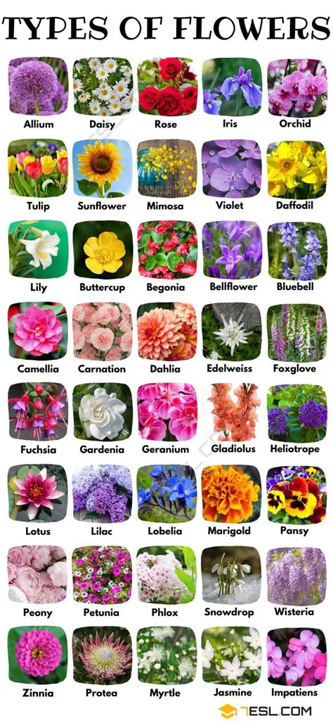 Benefits of Displaying a List of Flowers on Homepage