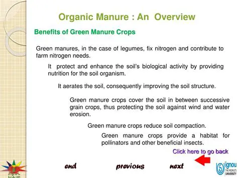 Benefits of Green Manure Crops