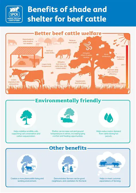 Benefits of Supporting Draft Frontmatter