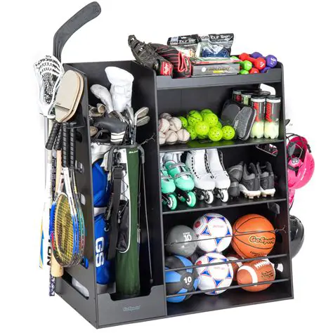 Benefits of Using a Sports Organiser