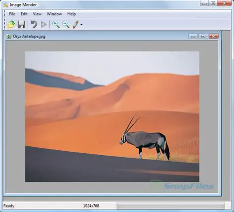 Benefits of Using Image Mender