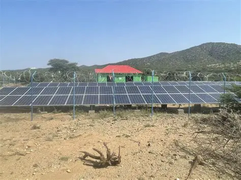 Benefits of Using Solarized in Qutebrowser