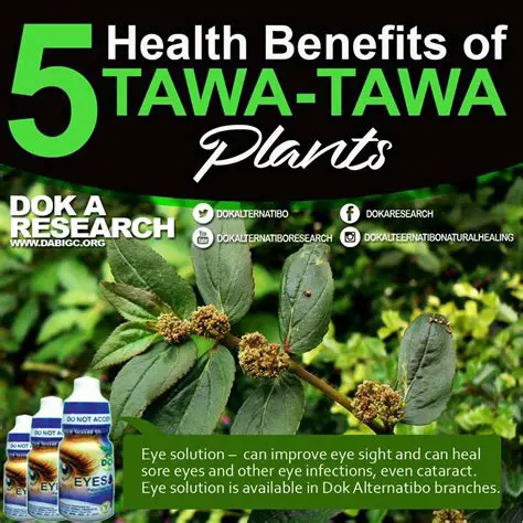 Benefits of Using Tawa Toolbar