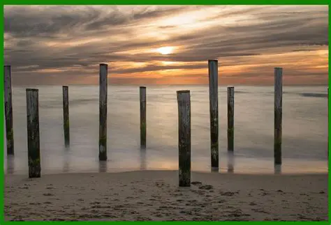 Benefits of Using Unleashed