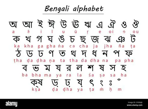 Bengali and English Interface