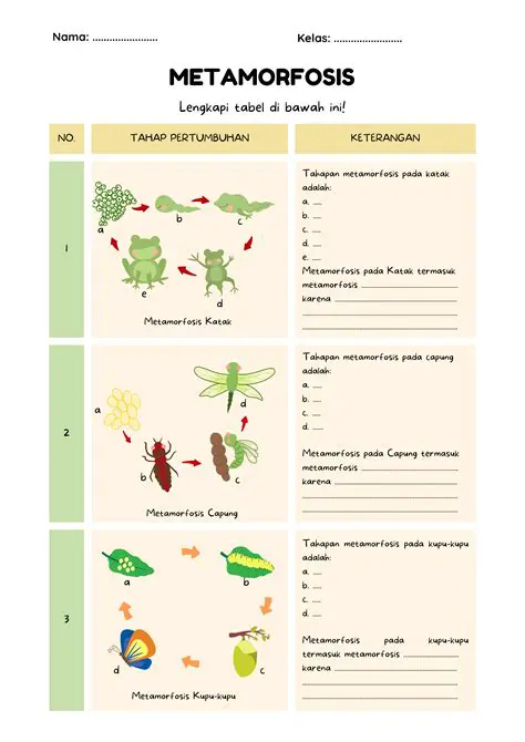 Berupa kisah tentang hewan atau makhluk lain