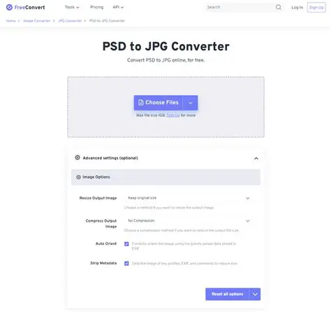 Best Software Options for PSD to JPG Conversion