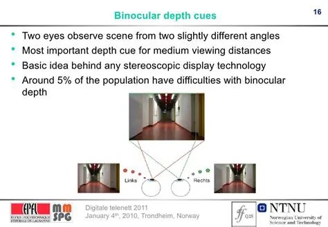 Binocular Cues and Contours