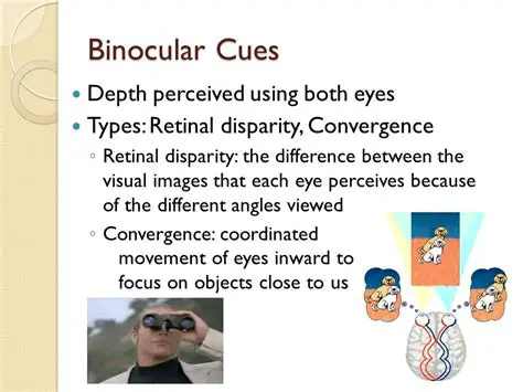 Binocular retinal disparity