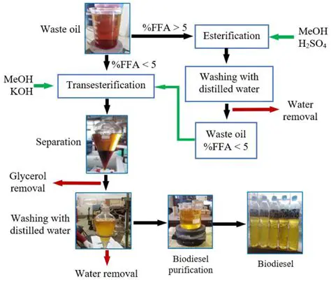 Biodiesel Production from Rice Bran Oil using Natural Zeolite Catalysts Modified with KOH