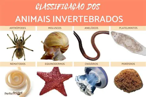 Biologia dos animais invertebrados