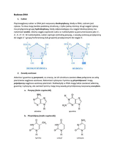 Biologia molekularna w praktyce
