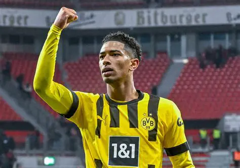 Borussia Dortmund: Análise Detalhada do Gigante Alemão e Seus Desafios