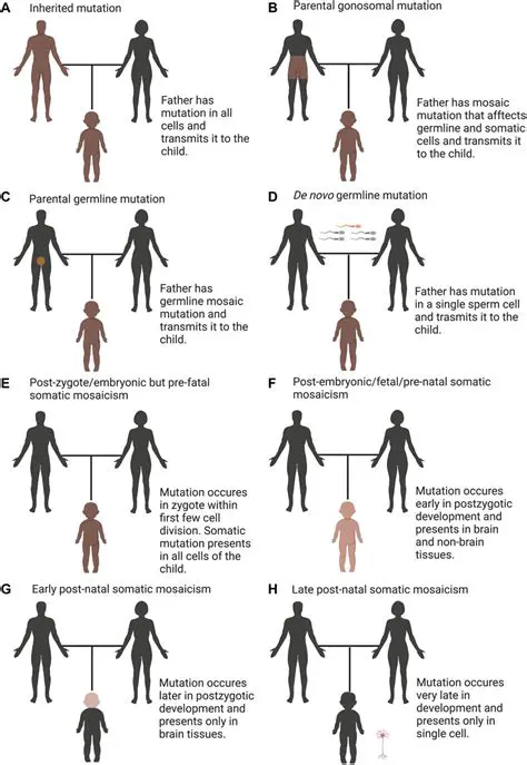 Both Cystic Fibrosis and Down Syndrome are Genetic Disorders