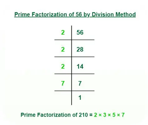 Break down the radical into its prime factors