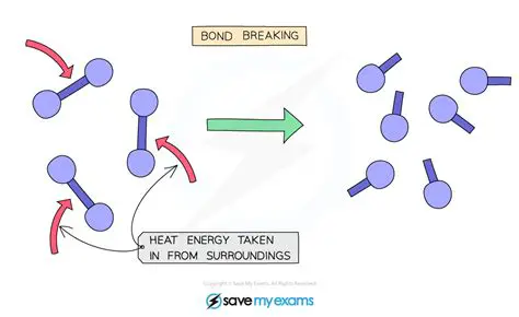 Breaking Bonds in the Reaction