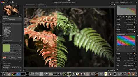 Breakthrough Tools for Photography Editing