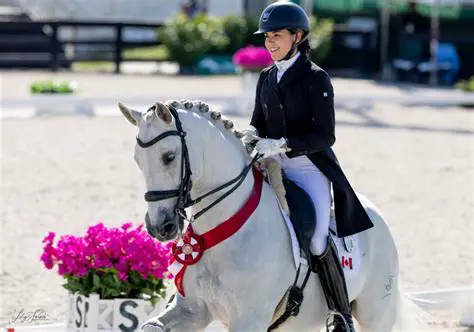 British Dressage News Today Live: Unpacking the Latest Scores, Star Performers, and Upcoming Events