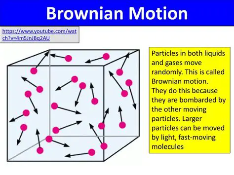 Brownian Motion and the Lebesgue Integral