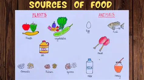 Buffalo as a Source of Food