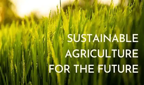 Building a Sustainable Agricultural Strategy