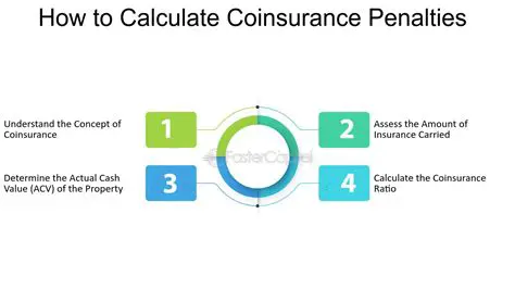 Calculate Coinsurance Amount