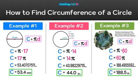 Calculate the circumference