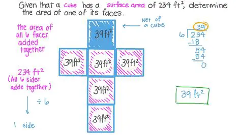 Calculating the Area of One Face