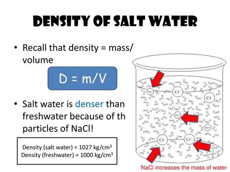 Calculating the Density of Salt Water