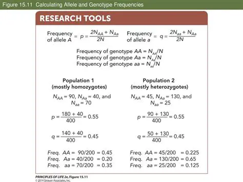 Calculating the Frequencies of Genotypes