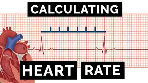 Calculating the Heart Rate