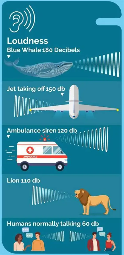 Calculating the Loudness of the Blue Whale
