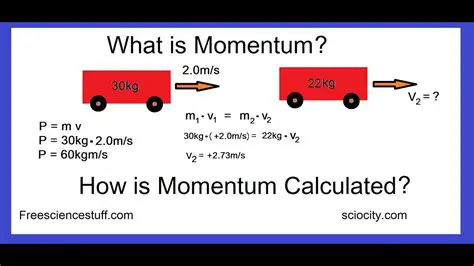 Calculating the Momentum of a Speedboat