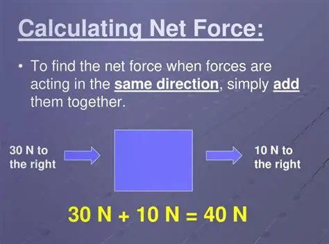 Calculating the Net Displacement