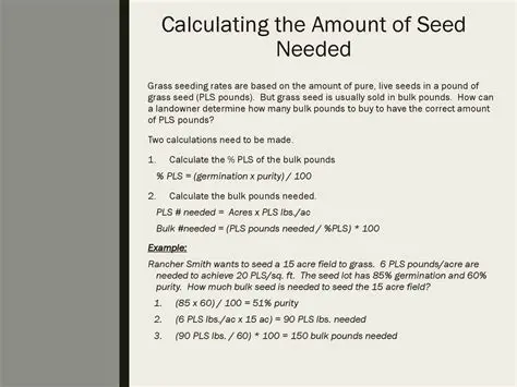 Calculating the Number of Bags of Corn Seed Needed