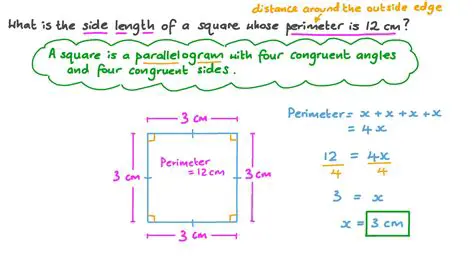 Calculating the Side Length