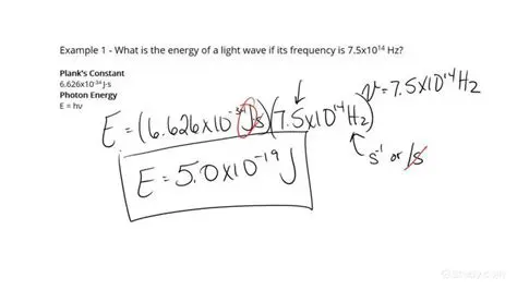 Calculating the Total Light Energy Received by Plants