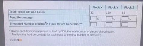 Calculating the Total Number of Pieces