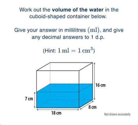 Calculating the Volume of the Cuboid Container