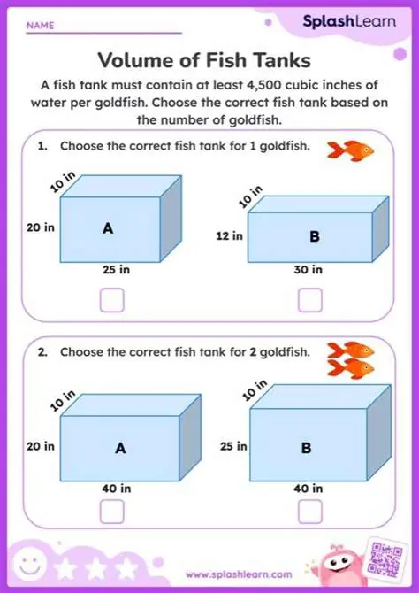 Calculating the Volume of the Fish Tank